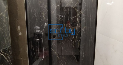 Линейная душевая с распашной дверью и одним неподвижным стеклом-3